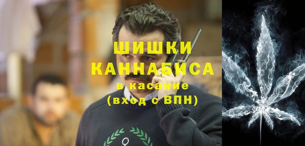 прущие грибы Арсеньев