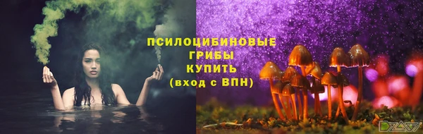 прущие грибы Арсеньев