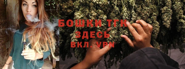 прущие грибы Арсеньев