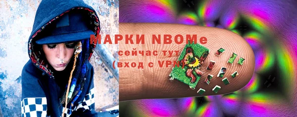 прущие грибы Арсеньев