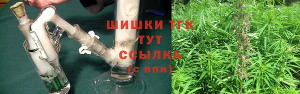 прущие грибы Арсеньев
