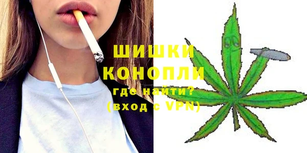 прущие грибы Арсеньев
