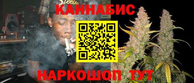 крисы Абакан