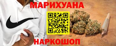 крисы Абакан