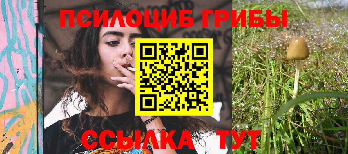 Галлюциногенные грибы MAGIC MUSHROOMS Ангарск